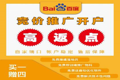 百度竞价代理的运营策略与成功案例分析